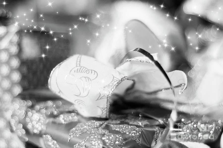 Magical Monochrome Gift Photograph by Terri Waters