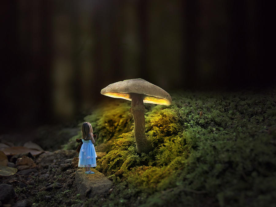 Magical Mushroom Mixed Media by Marvin Blaine