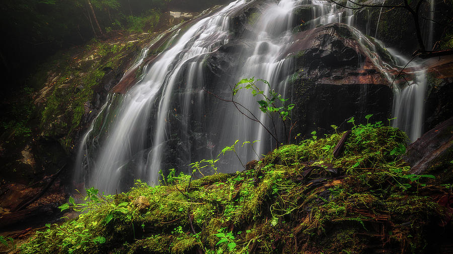 Magical Mystical Mossy Waterfall by Mike Koenig Magical Mystical Mossy Waterfall by Mike Koenig