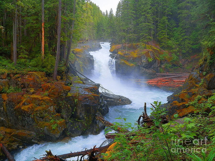 Silver Falls Ohanapecosh River Most Beautiful in Mount Rainier National ...