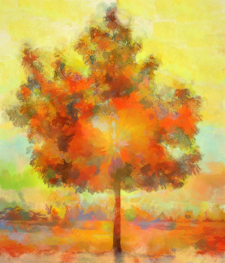 Magical Tree by Dan Sproul Magical Tree by Dan Sproul