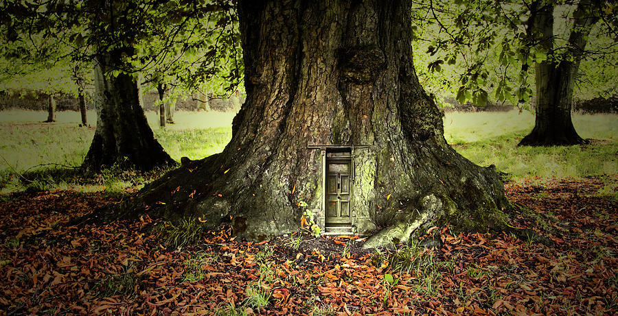 Magical Tree With Fairy Door At Its Base