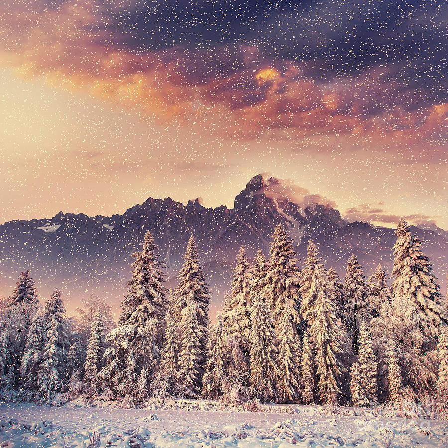 snowy landscape wallpaper