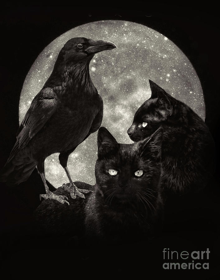 Magick Black Cats Raven and Moon Photograph by Stephanie Laird