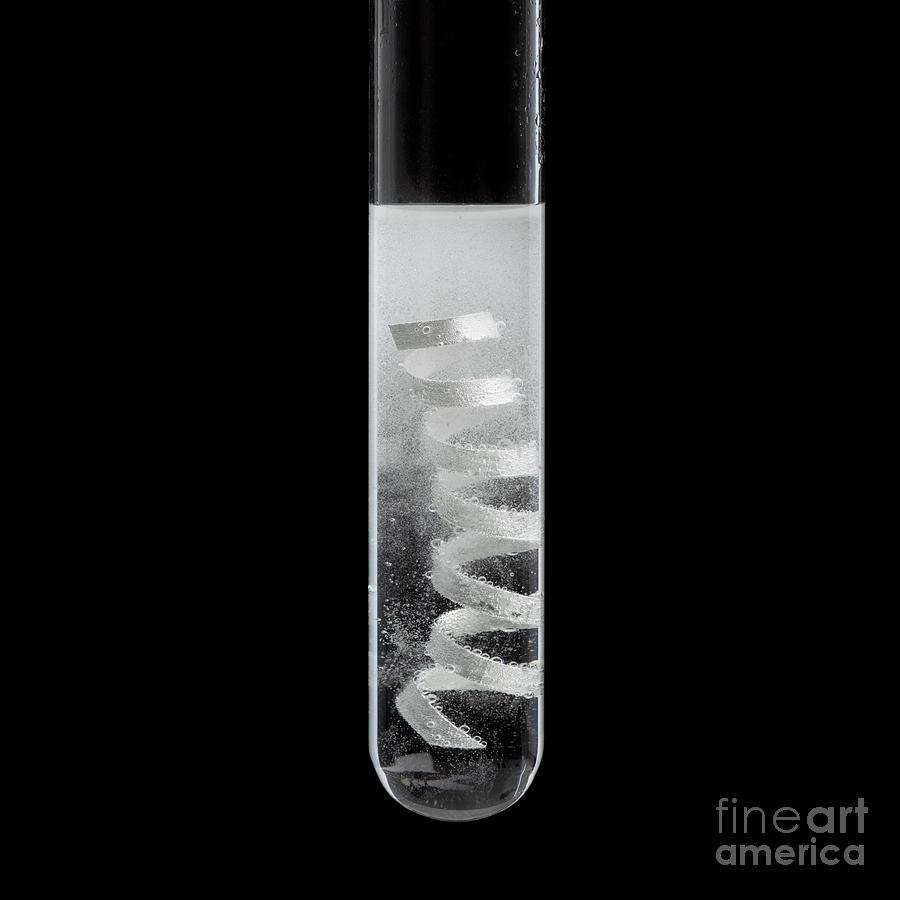 Magnesium-acid Reaction Photograph by Science Photo Library