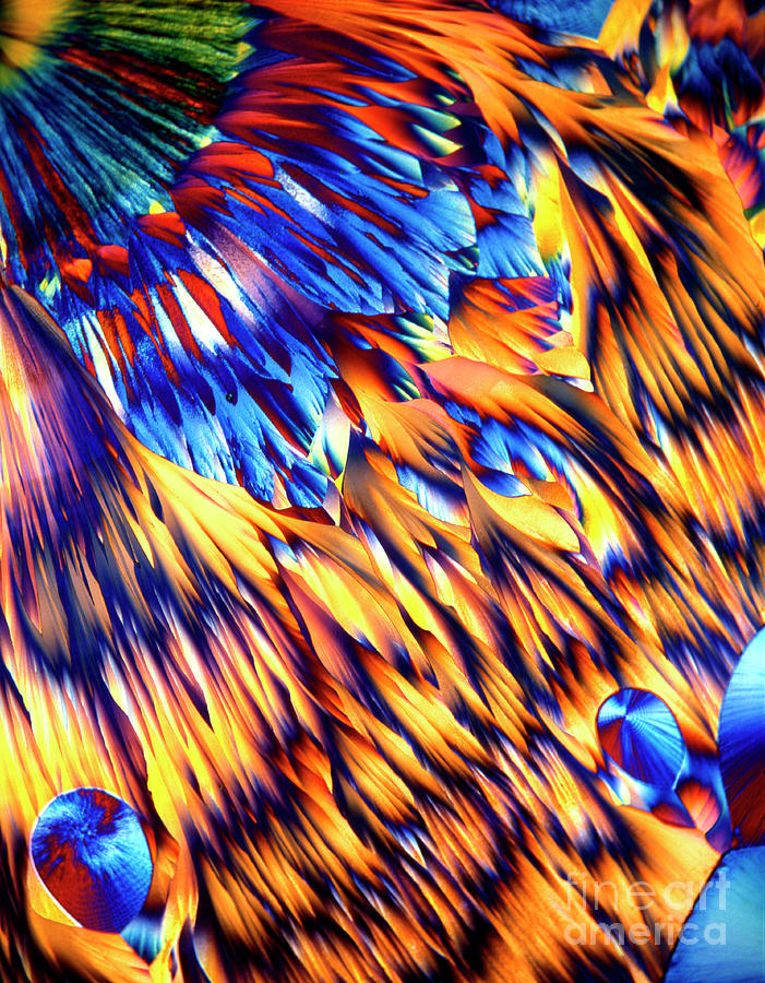 Magnesium Sulphate Crystals Photograph by Dr Keith Wheeler/science Photo Library