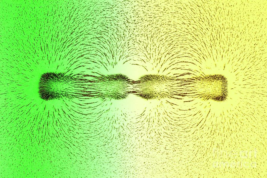 Magnetic Attraction Photograph by Martyn F. Chillmaid/science Photo Library
