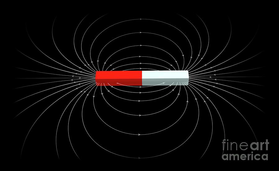 Magnetic Field Of A Bar Magnet Photograph by Mikkel Juul Jensen/science Photo Library