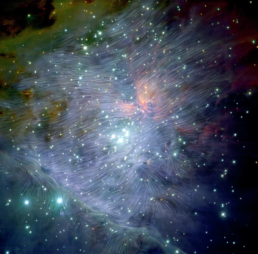 Magnetic Fields In The Orion Nebula Photograph by Nasa/sofia/d. Chuss Et Al. And European Southern Observatory/m.mccaughrean Et Al./science Photo Library