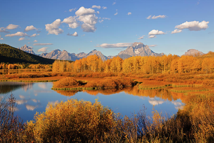 Magnificant Autumn Day in the Tetons Photograph by Jack Bell