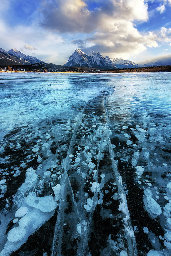 Magnificent Ice Photograph by Alex Mironyuk