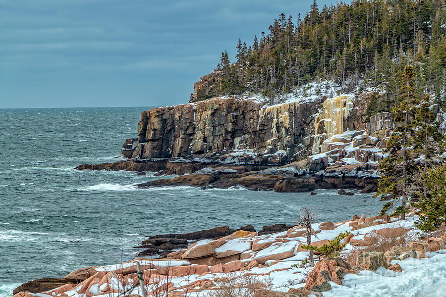 Acadia National Park Photograph - Magnificent Otter Cliffs  by Elizabeth Dow