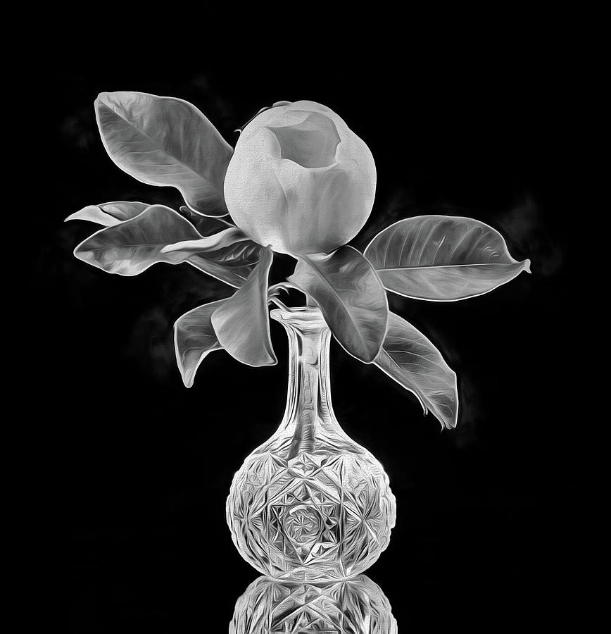 Magnolia Bloom And Crystal Still Life Black and White Digital Art by JC Findley