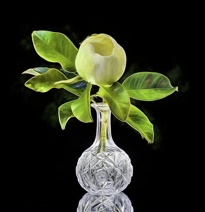 Magnolia Bloom And Crystal Still Life Digital Art by JC Findley