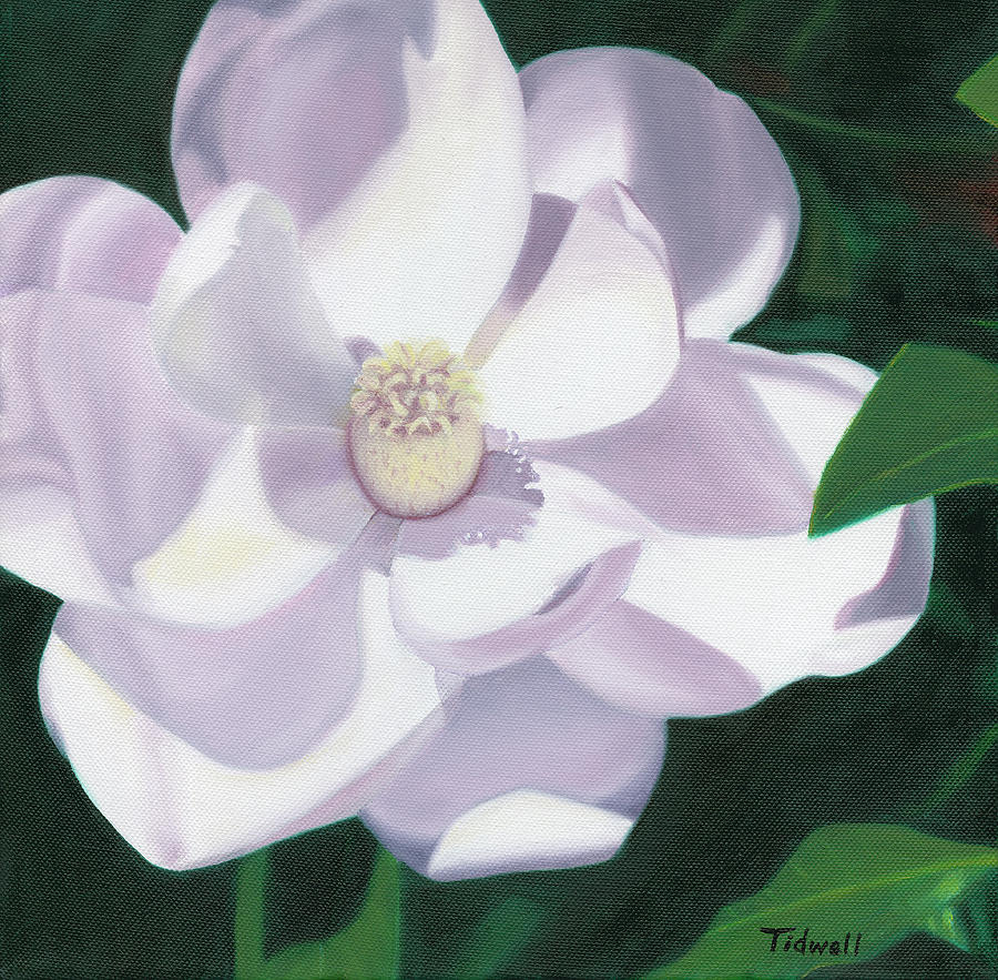 Magnolia Painting by Deborah Tidwell Artist