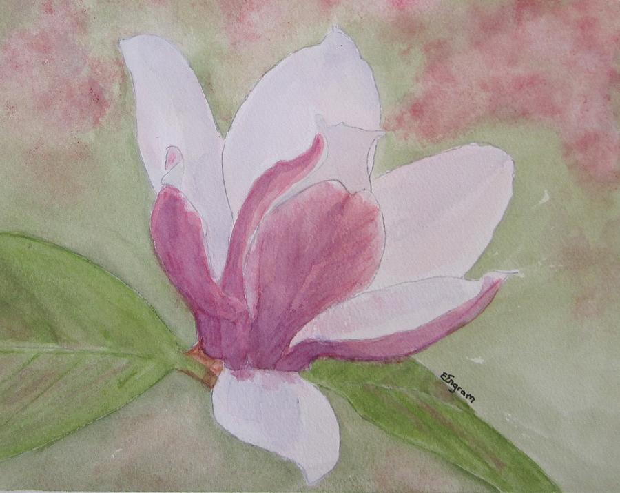 Magnolia Painting by Elvira Ingram