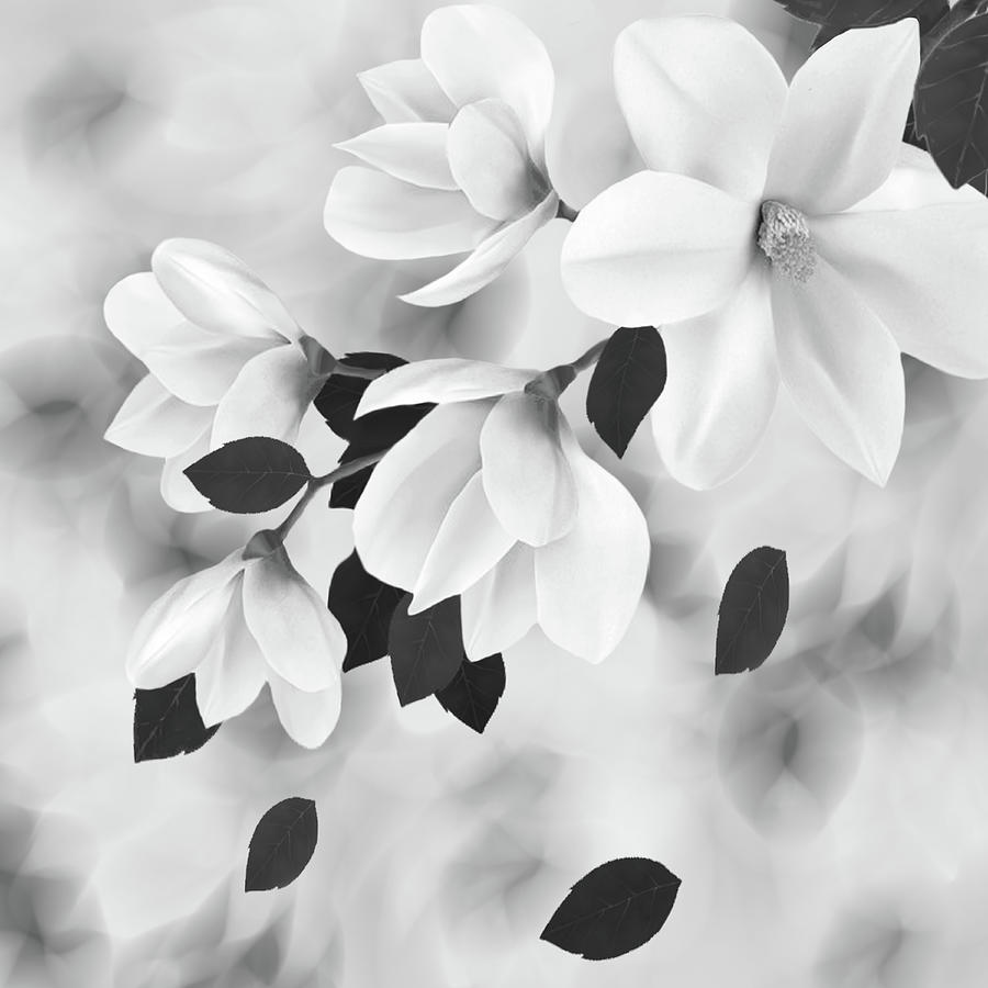 Flower Digital Art - Magnolias-2 by Nina Bradica