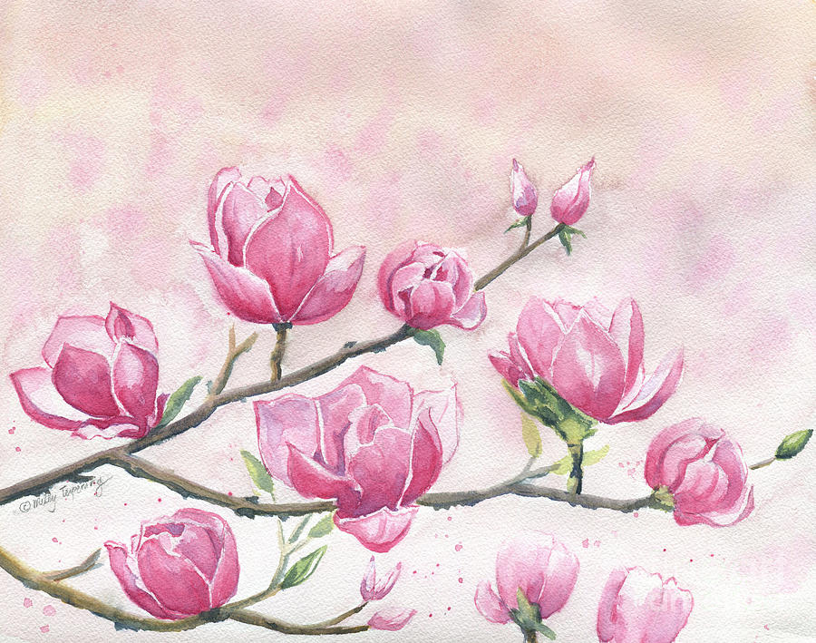 Magnolia Movie Painting - Magnolias Blossom by Melly Terpening