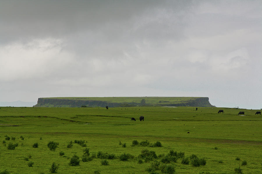 Mahabaleshwar Flat Land By Nishanth Jois