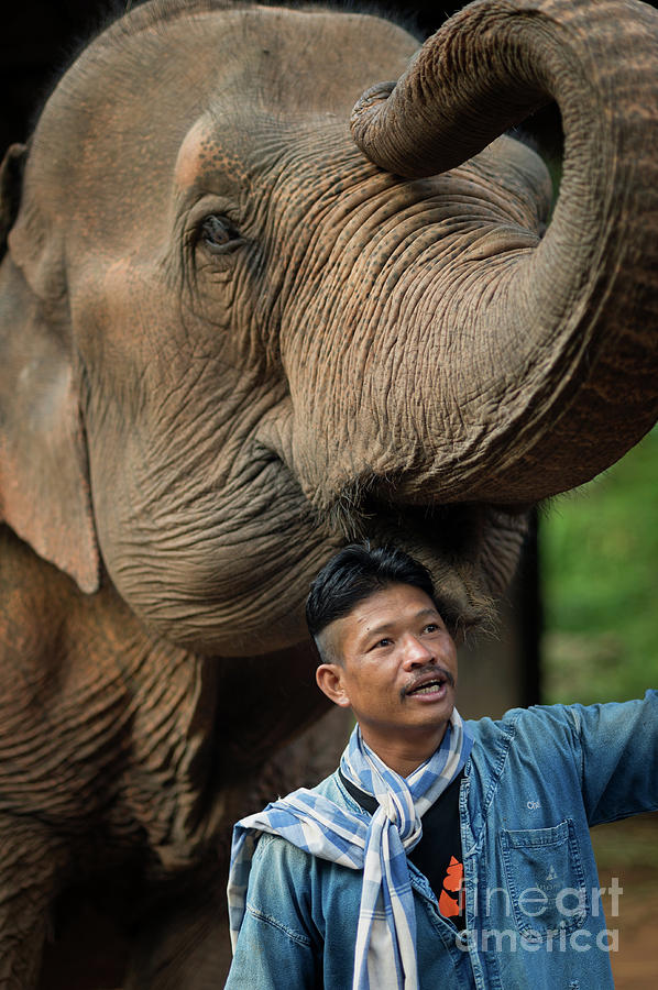 Mahout Chet 20190823a by Lee Craker Mahout Chet 20190823a by Lee Craker