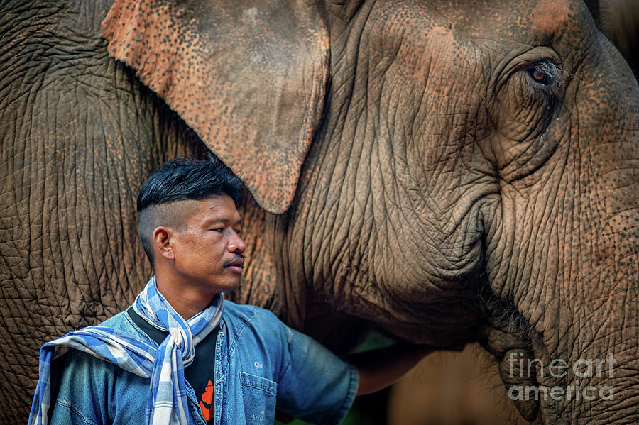 Mahout Chet 201908247 by Lee Craker Mahout Chet 201908247 by Lee Craker