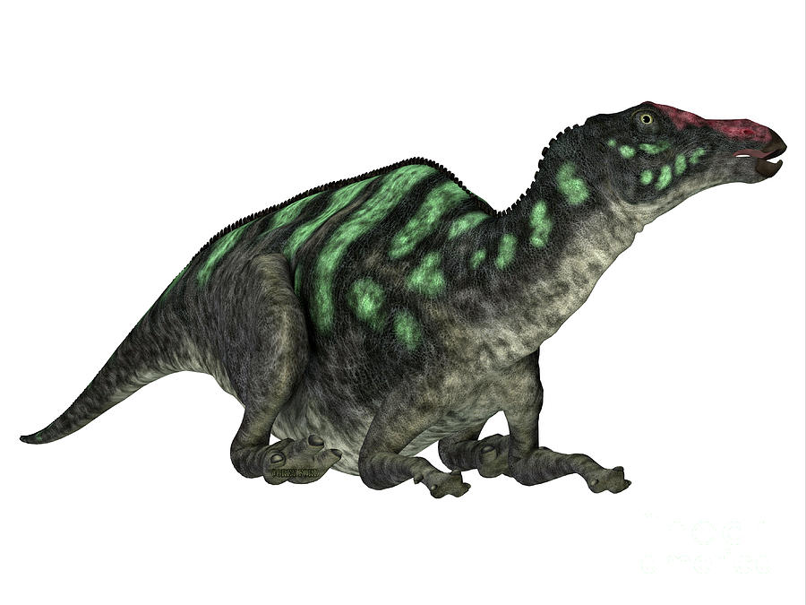 Maiasaurus Dinosaur Head Digital Art by Corey Ford