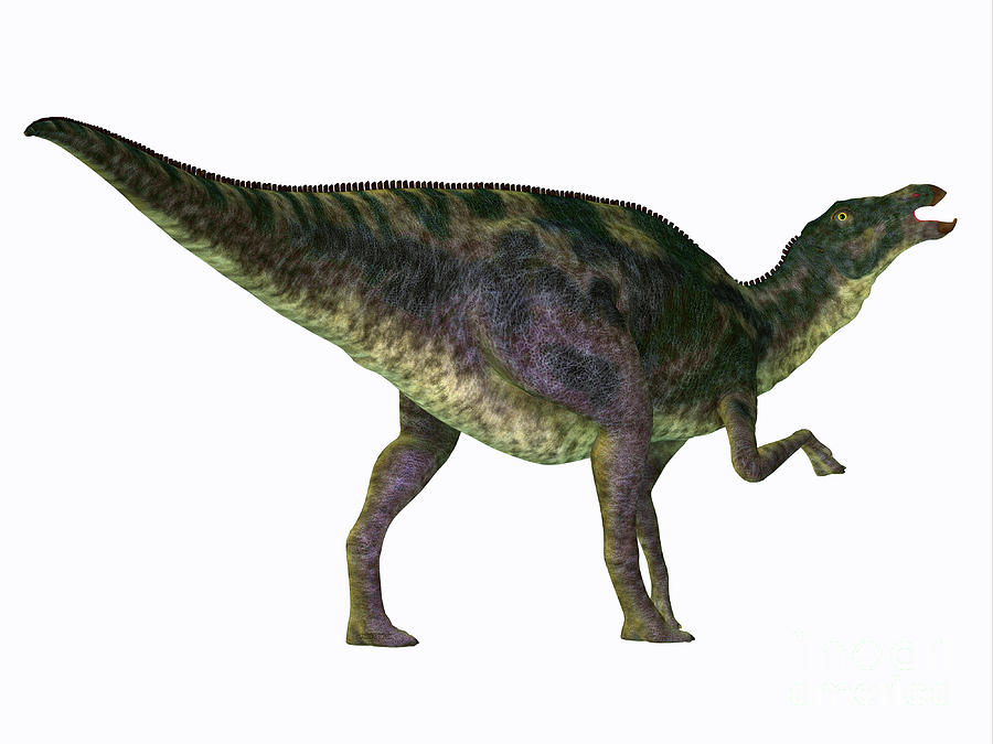 Maiasaurus Dinosaur Tail Digital Art by Corey Ford