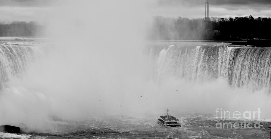 Maid in the Mist  Photograph by Debra Banks