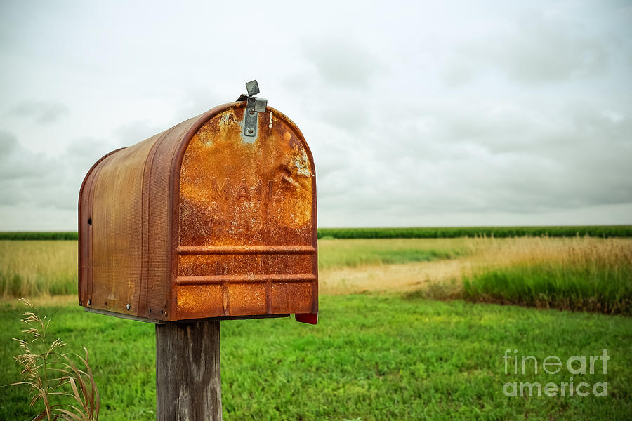 Mailbox  Photograph by Iryna Liveoak