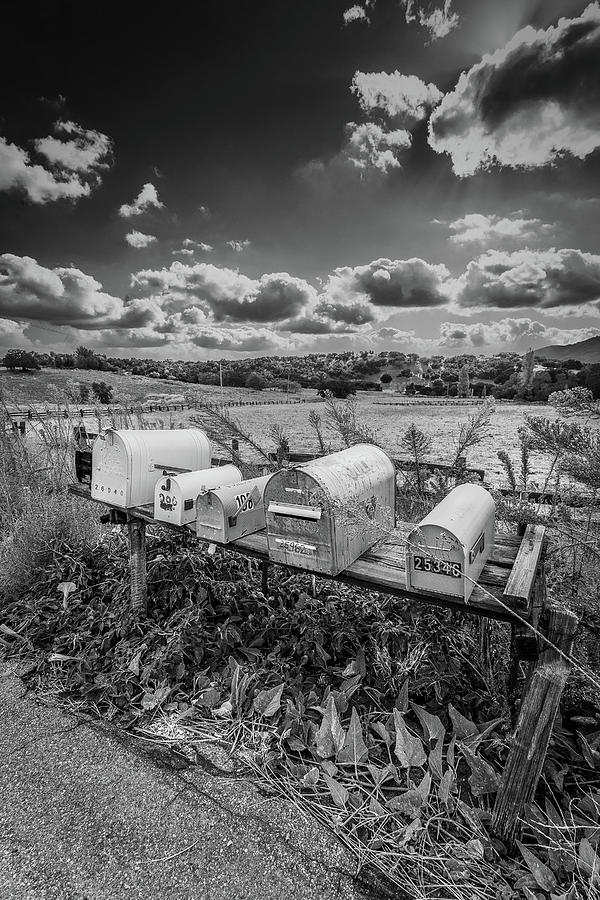 Mailboxes - Black  and White Photograph by Peter Tellone