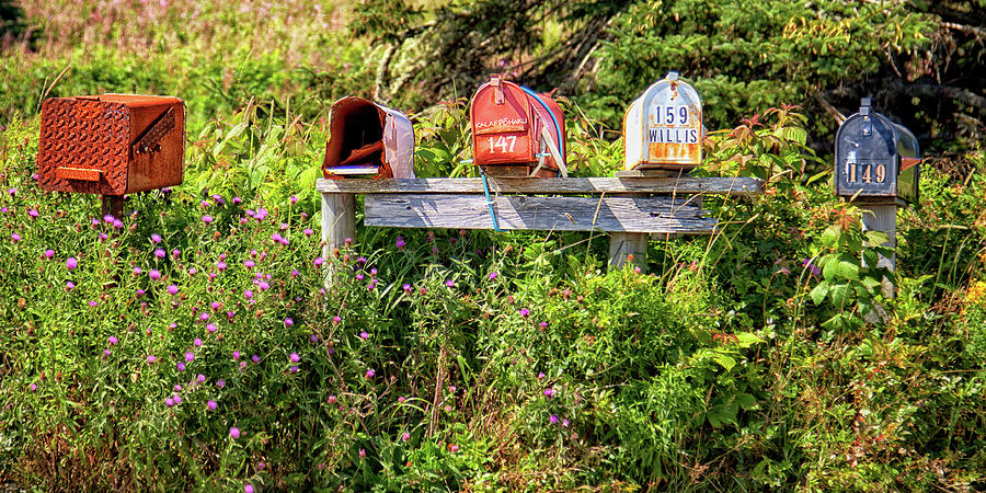 Mailboxes in Nova Scotia Photograph by Tatiana Travelways