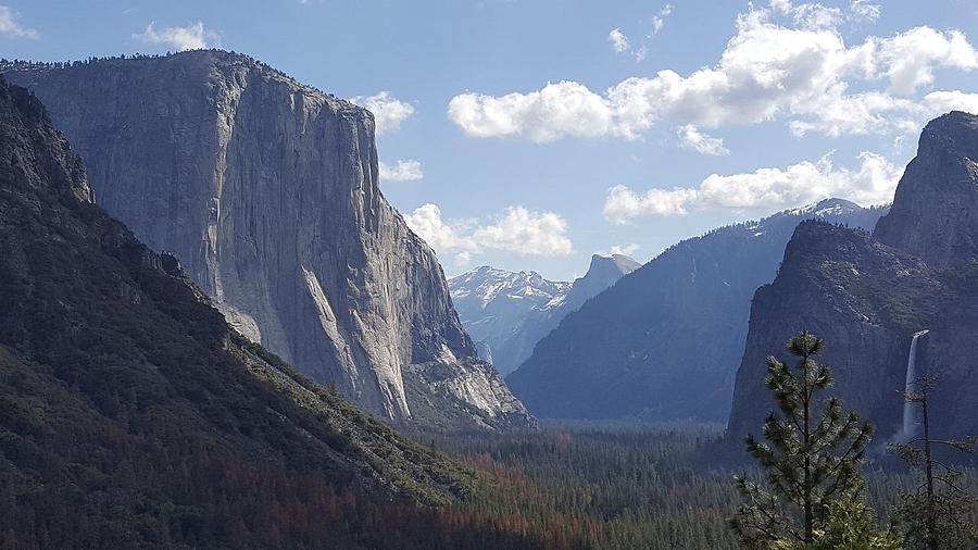 Main Valley Yosemite Photograph