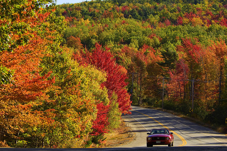Maine, Acadia National Park, Autumn Digital Art by Franco Cogoli