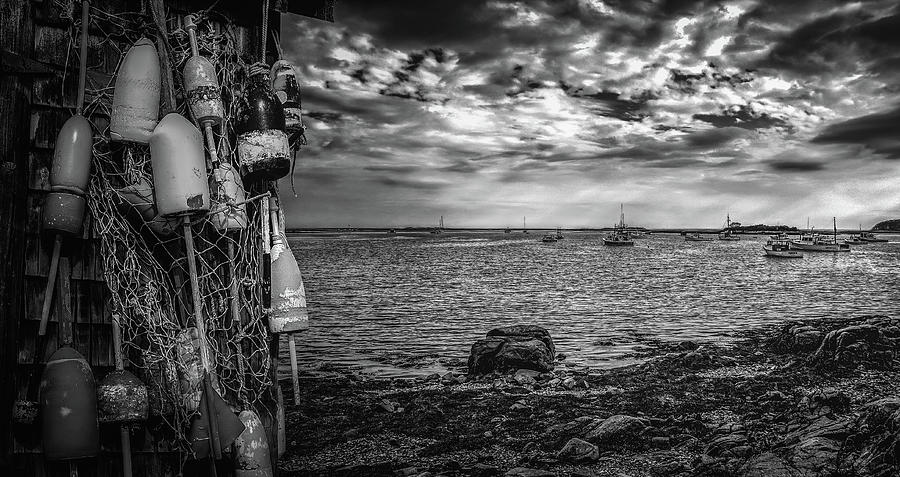 Maine Coast by Bob Orsillo Maine Coast by Bob Orsillo