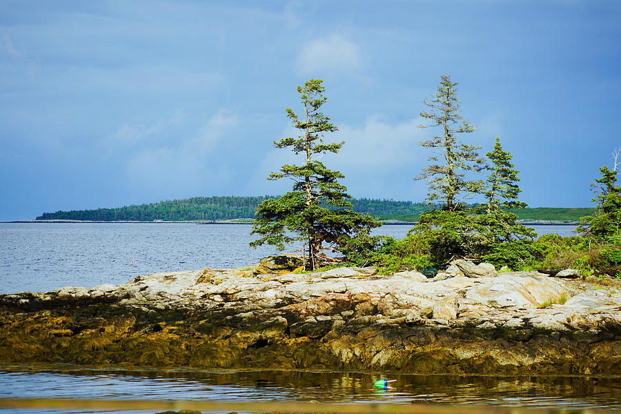 Maine Coast Photograph