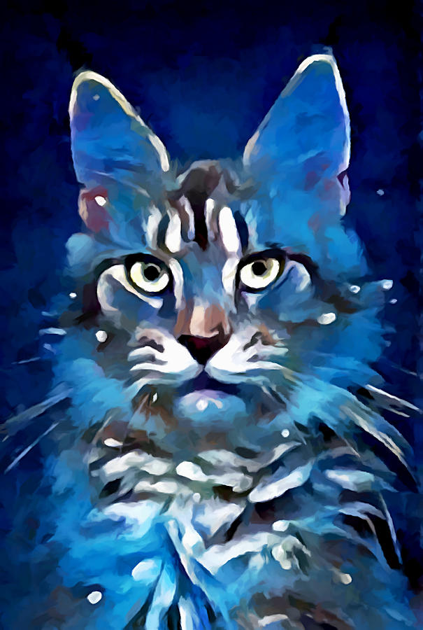 Maine Coon Painting by Chris Butler