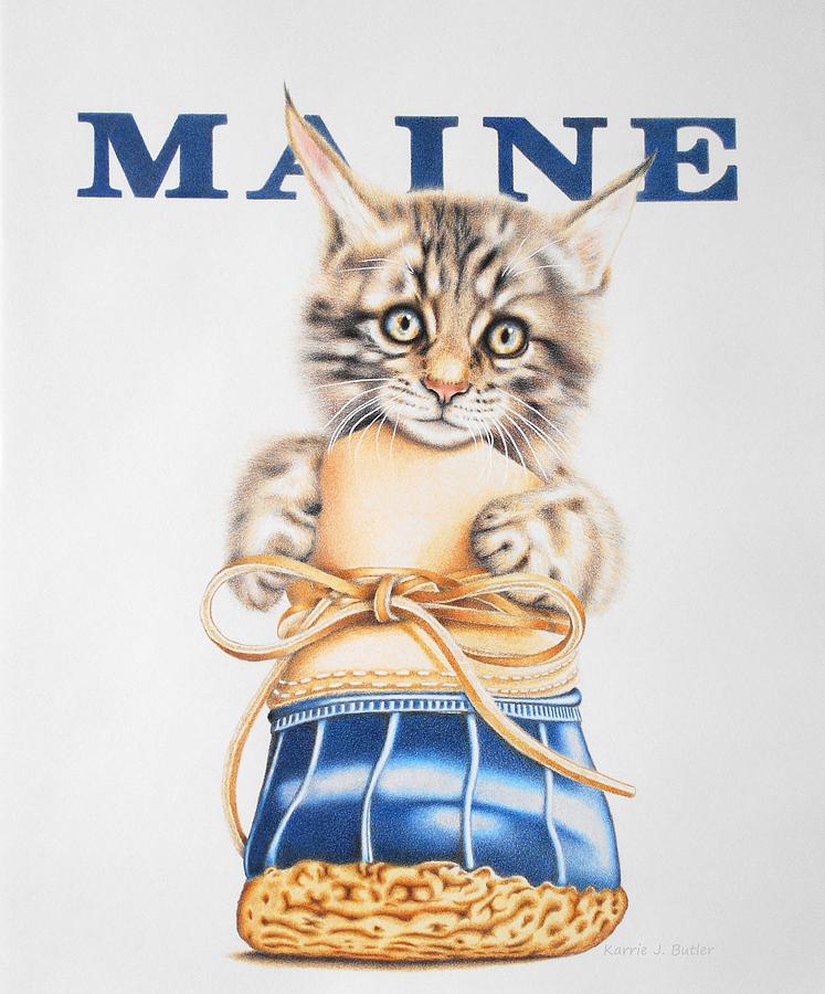 Maine Drawing - Maine Coon Kitten by Karrie J Butler Maine Drawing - Maine Coon Kitten by Karrie J Butler
