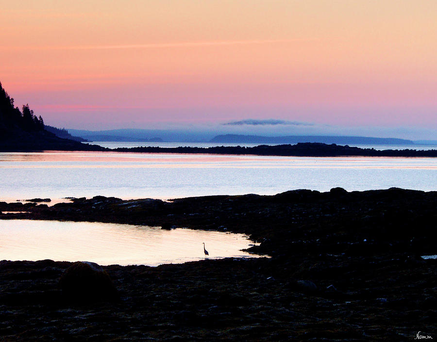Maine Dawn Photograph by Rein Nomm