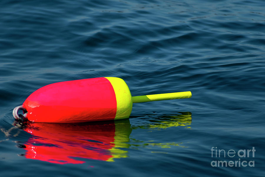 Maine Lobster Buoy Photograph by Zane Smith - Pixels
