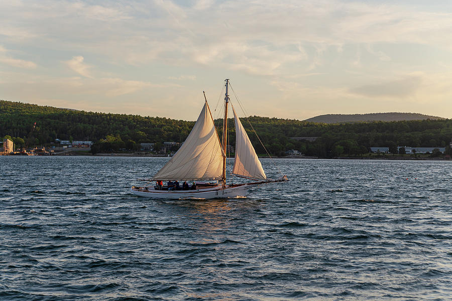 Maine Sailing #3 Photograph by Bryan Bzdula