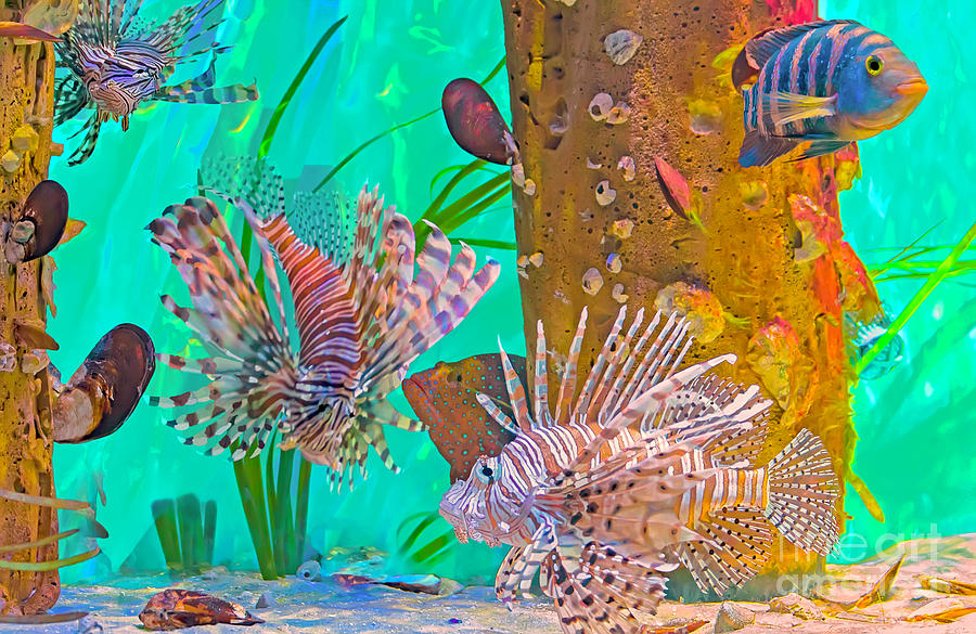 Lionfish Photograph - Maintenance-free Aquarium by Banyan Ranch Studios Lionfish Photograph - Maintenance-free Aquarium by Banyan Ranch Studios