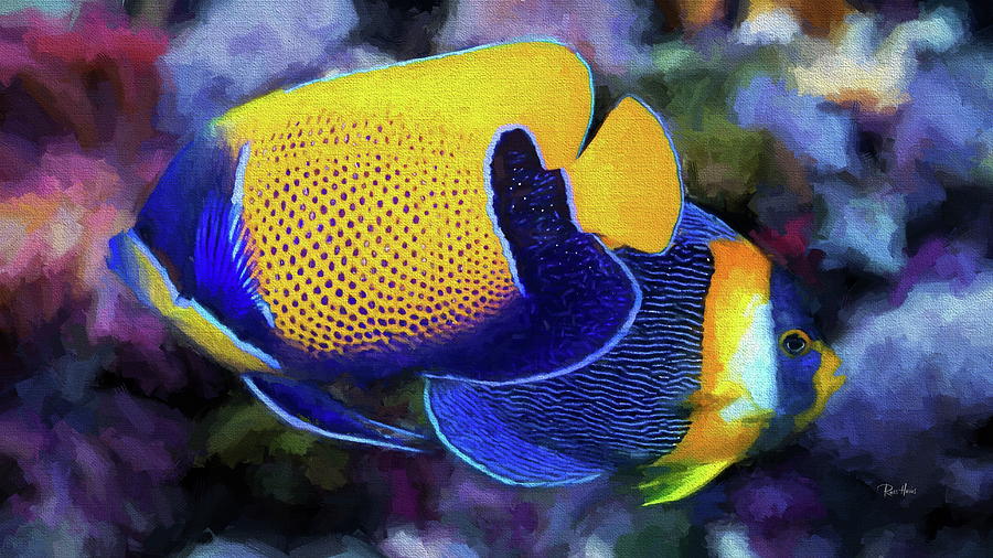 Majestic Angelfish Digital Art
