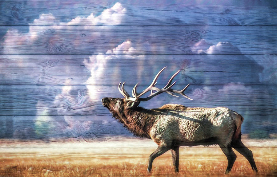 Majestic Elk in Watercolor Painting Photograph by Debra and Dave Vanderlaan