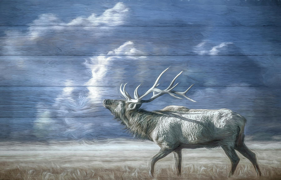 Majestic Elk Oil Painting Photograph by Debra and Dave Vanderlaan