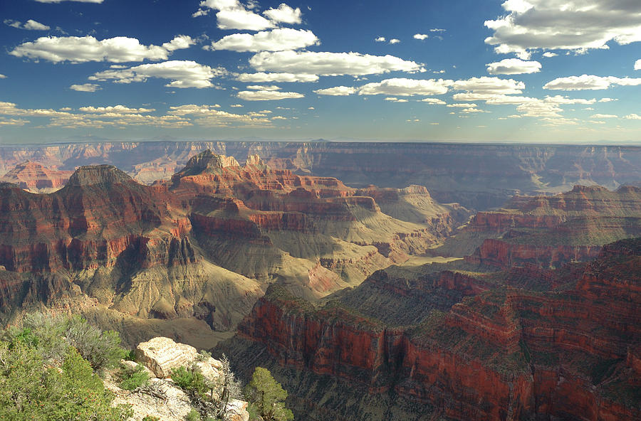 Majestic Grand Canyon Photograph by Firehorse