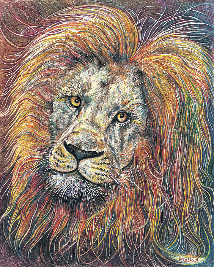 Majestic Lion Drawing by Kevin Derek Moore