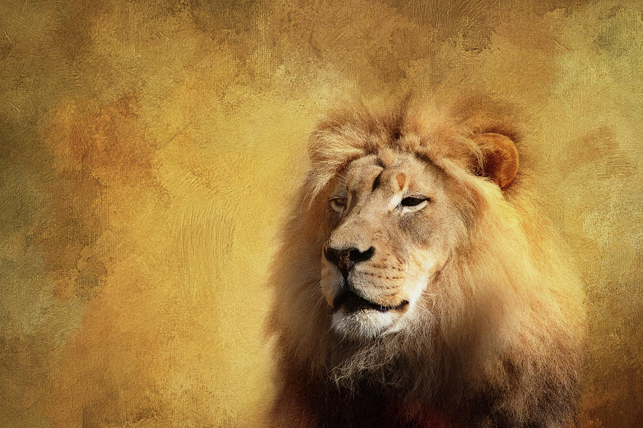 Majestic Lion Digital Art by Terry Davis