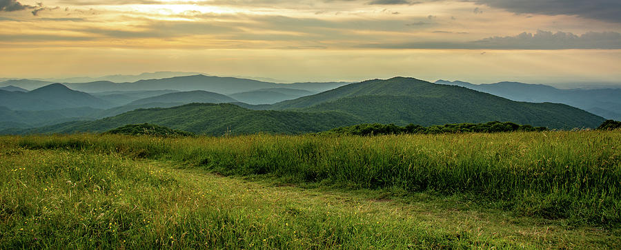 Majestic Max Patch Photograph by Marcy Wielfaert