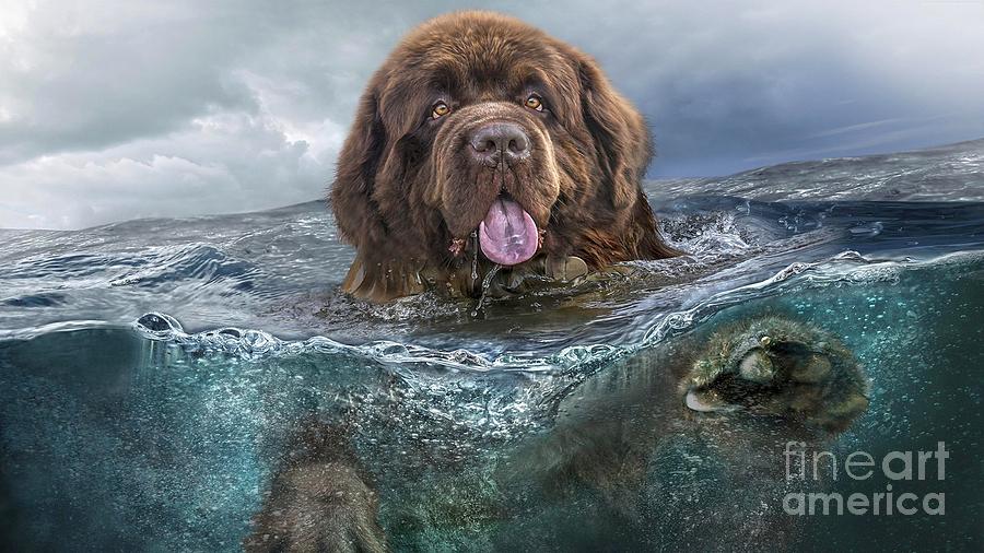 Majestic Newfoundland Dog Swimming Ultra HD Painting by Hi Res