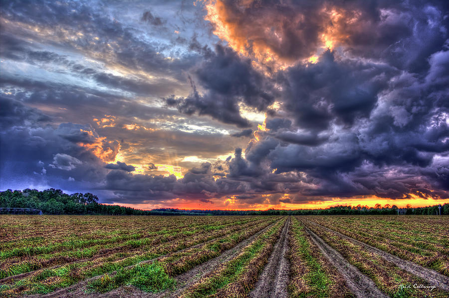Statesboro GA Majestic Peanut Harvest Sunset Thunderstorm Clouds Georgia Farming Art Photograph by Reid Callaway